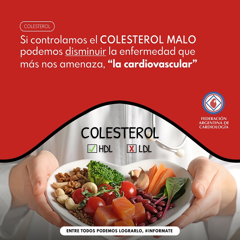 img-colesterol